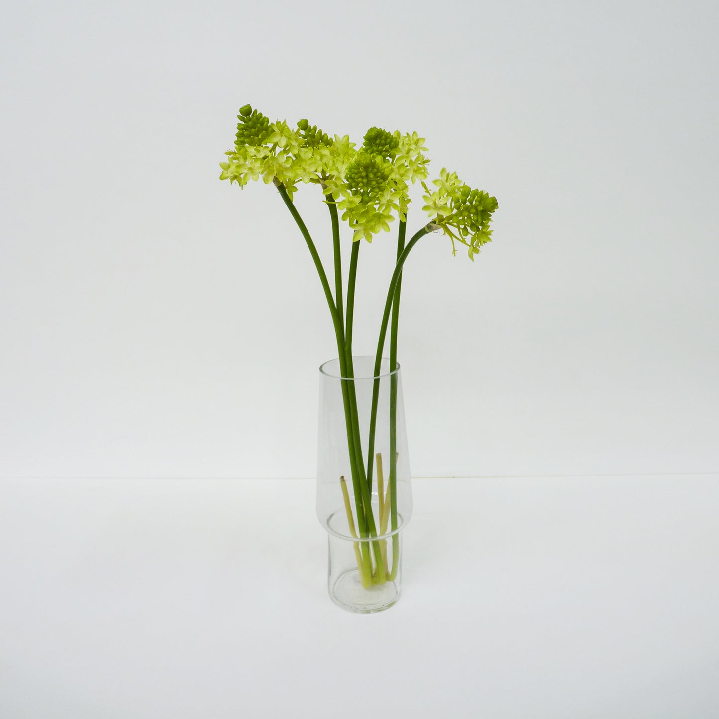 Yellow Star of Bethlehem Flower