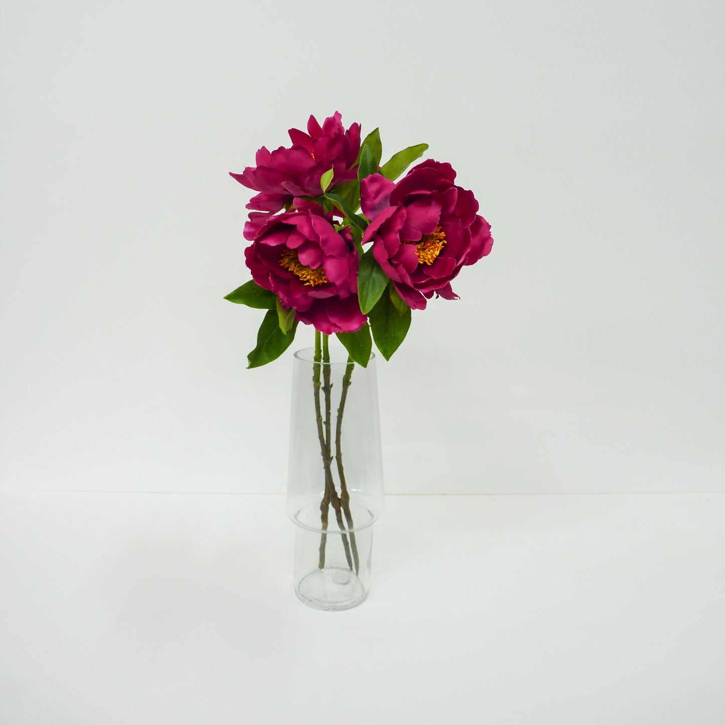 Deep Pink Garden Peony