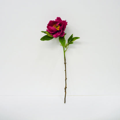 Deep Pink Garden Peony