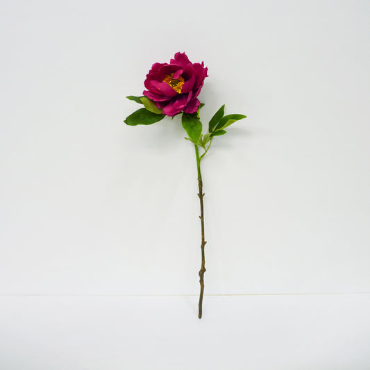 Deep Pink Garden Peony
