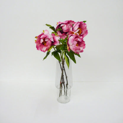 Pink Garden Peony