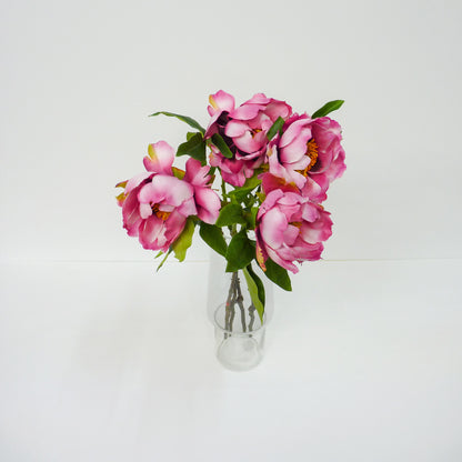 Pink Garden Peony