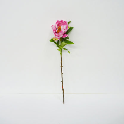 Pink Garden Peony