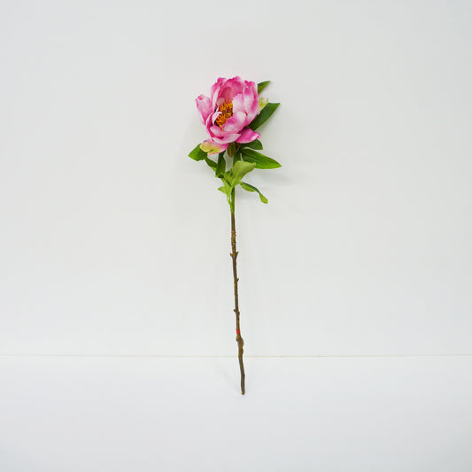 Pink Garden Peony