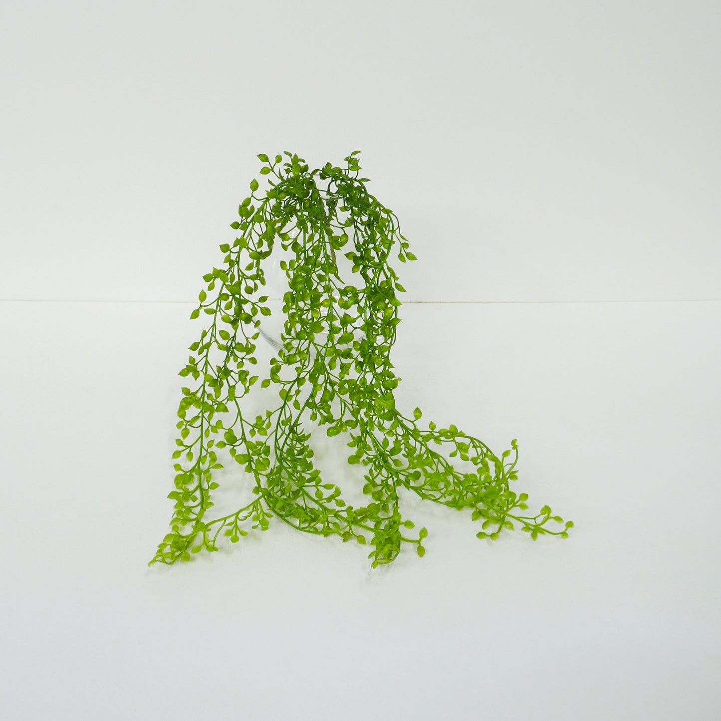 String of Pearls Bunch