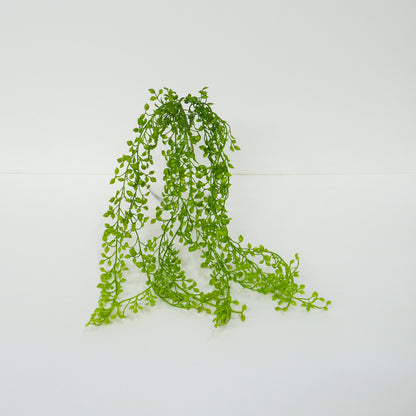 String of Pearls Bunch