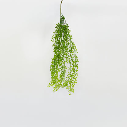 String of Pearls Bunch