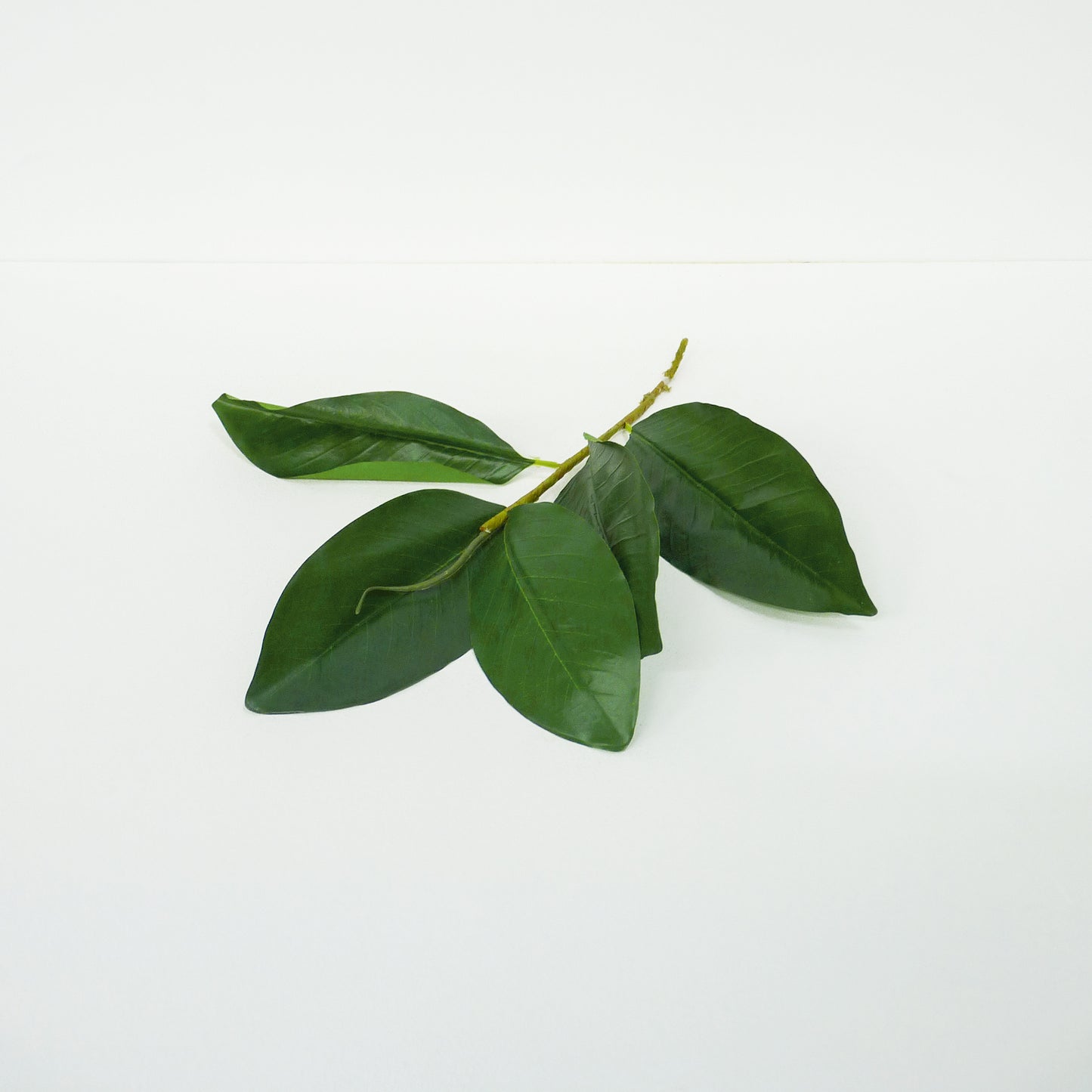 Green Leaf Bunch