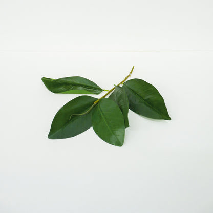 Green Leaf Bunch