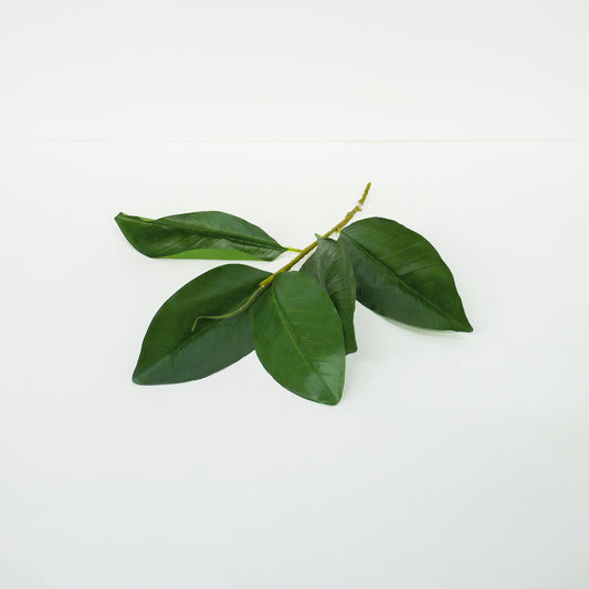 Green Leaf Bunch