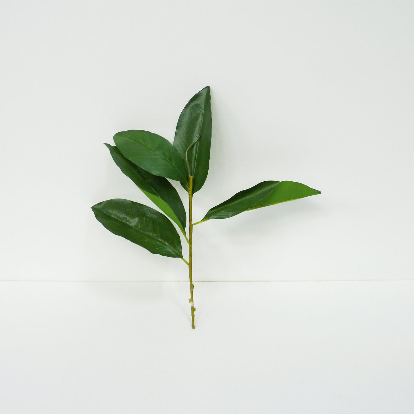 Green Leaf Bunch