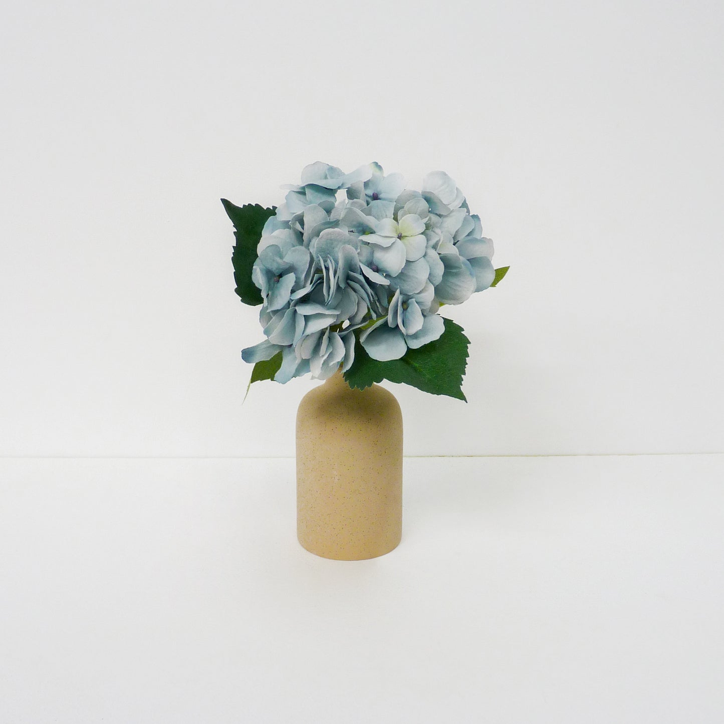 Blue Hydrangea Flowers Stems
