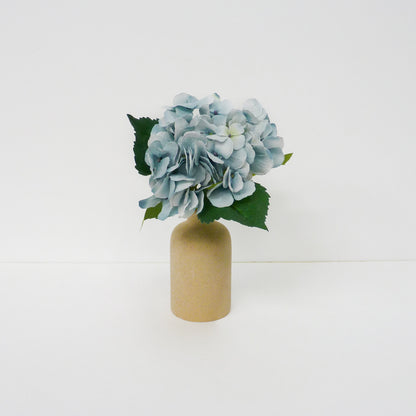 Blue Hydrangea Flowers Stems