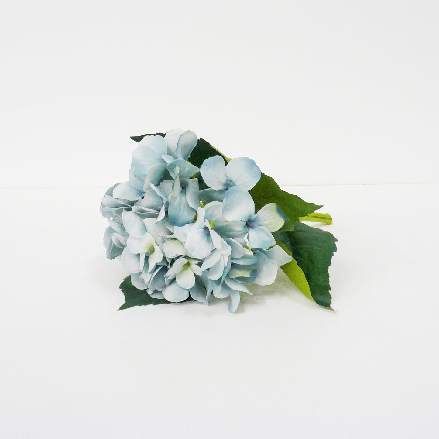 Blue Hydrangea Flowers Stems