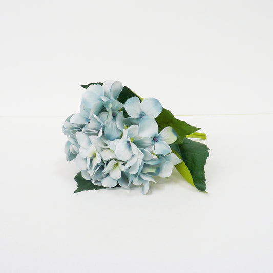 Blue Hydrangea Flowers Stems