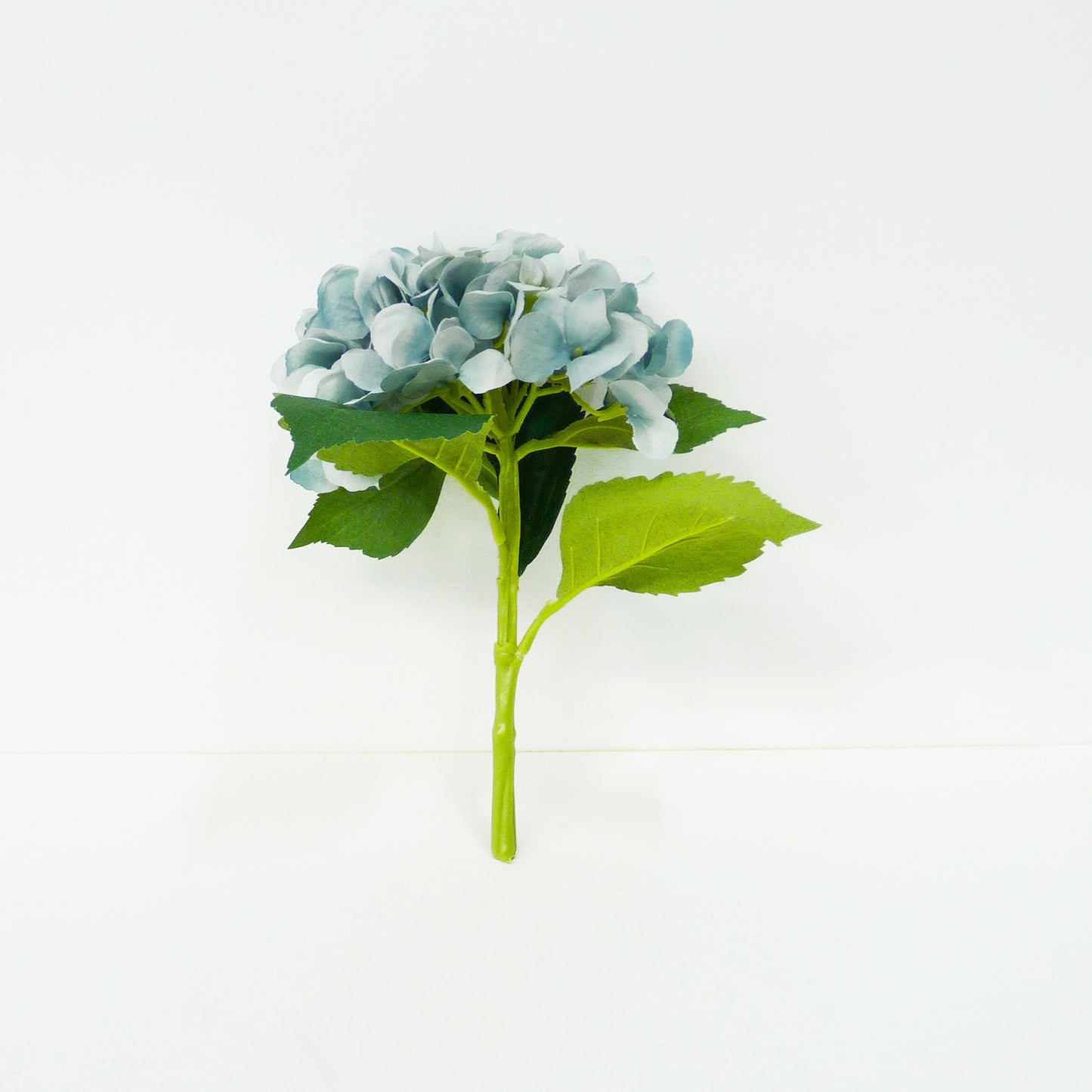 Blue Hydrangea Flowers Stems
