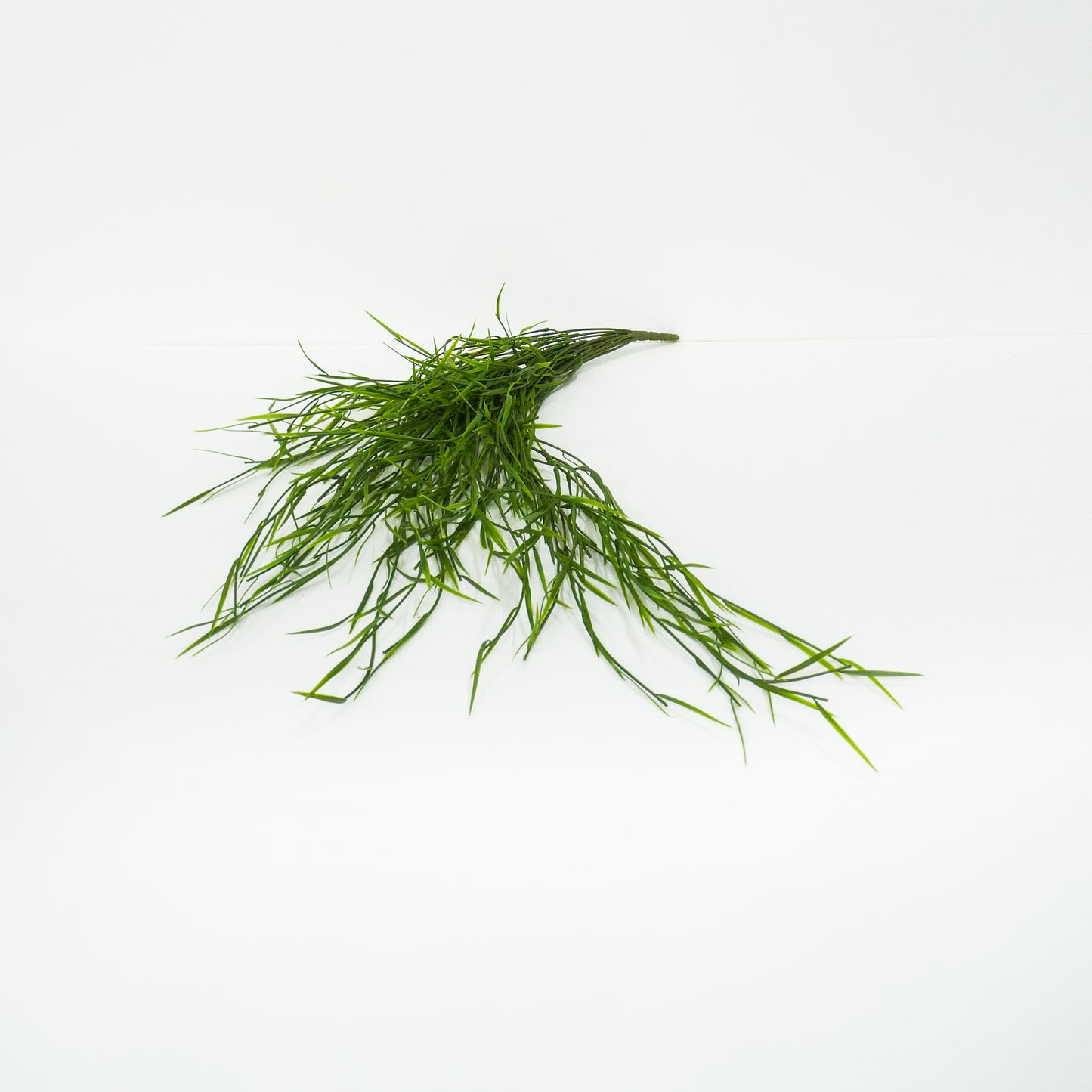 Water Grass Bunch