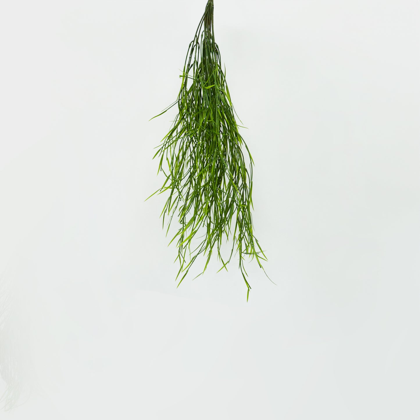 Water Grass Bunch