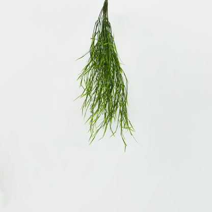 Water Grass Bunch