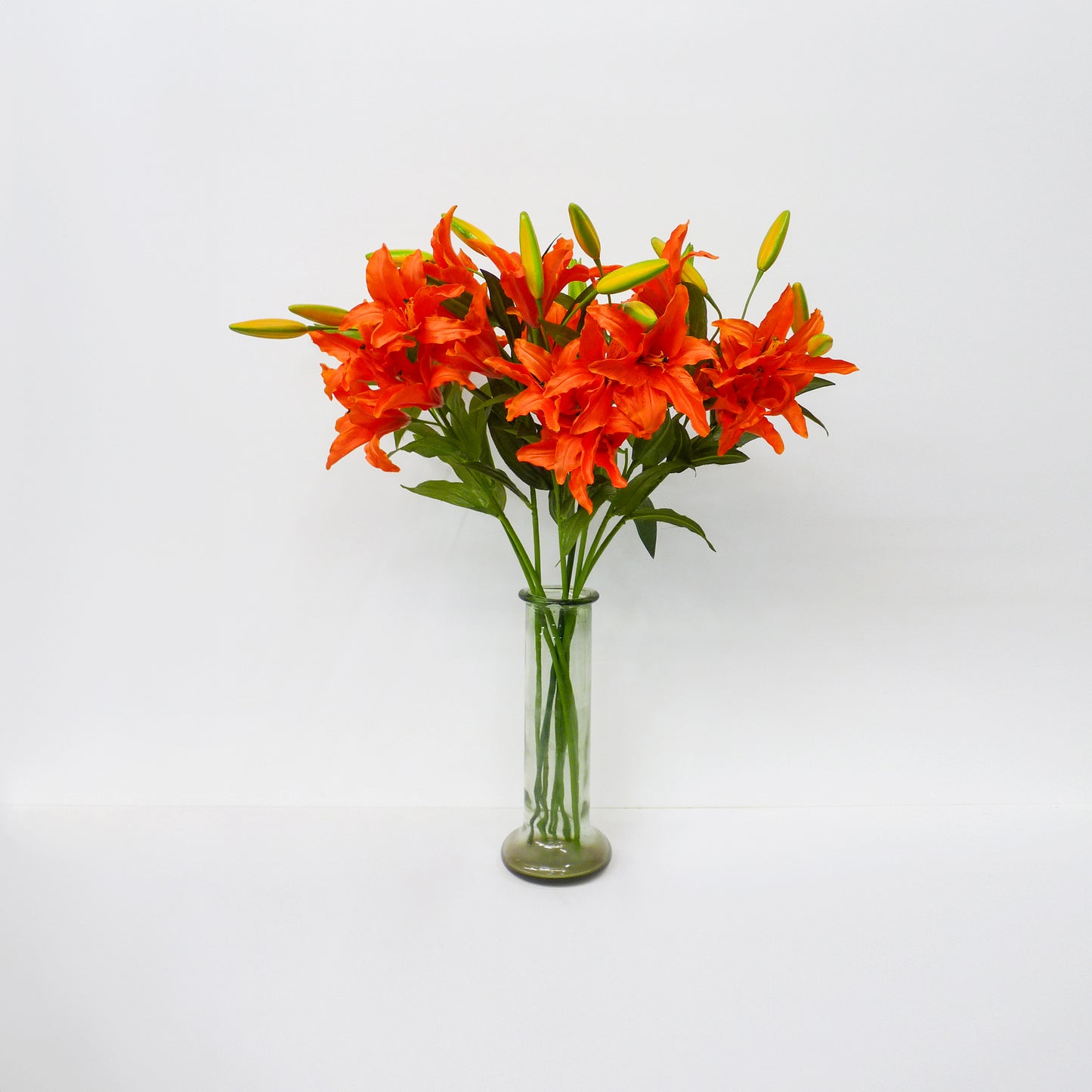 Orange Lily