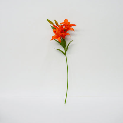 Orange Lily