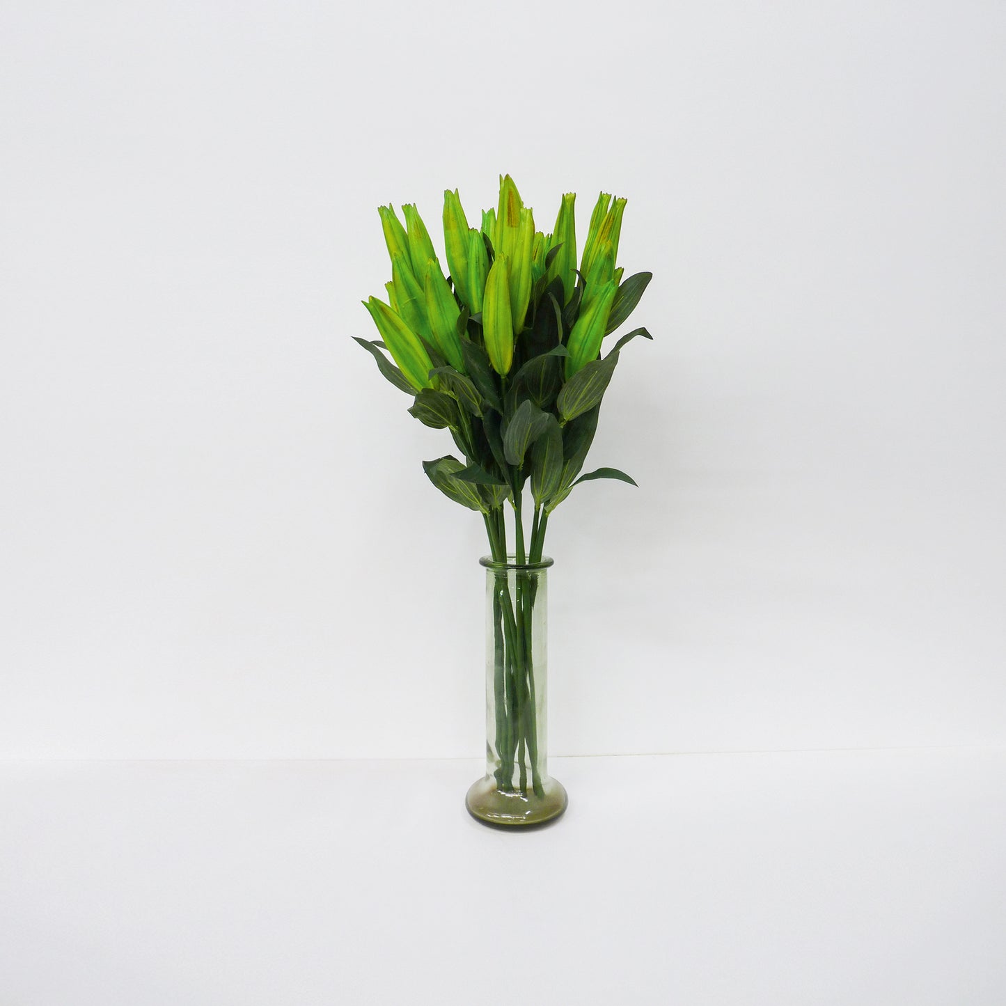 Closed Lily Stems