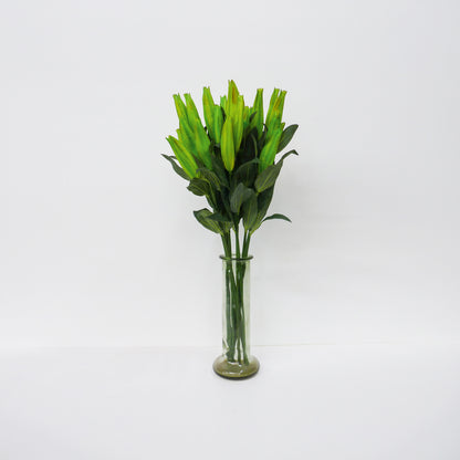 Closed Lily Stems