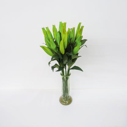 Closed Lily Stems