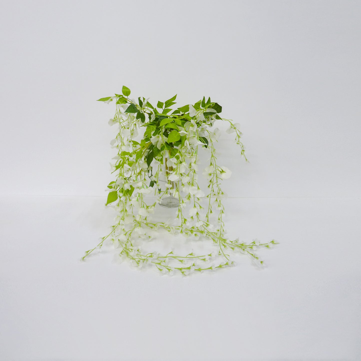Weeping White Flower
