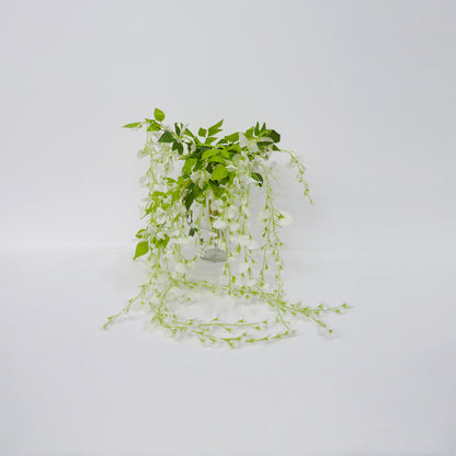Weeping White Flower