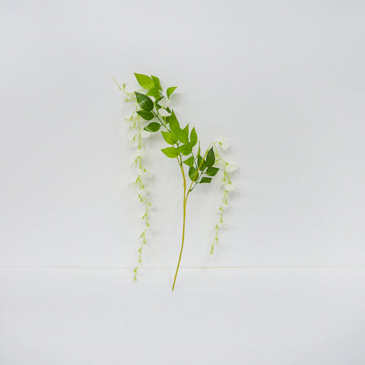 Weeping White Flower