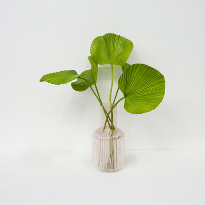 Fan Palm Leaf