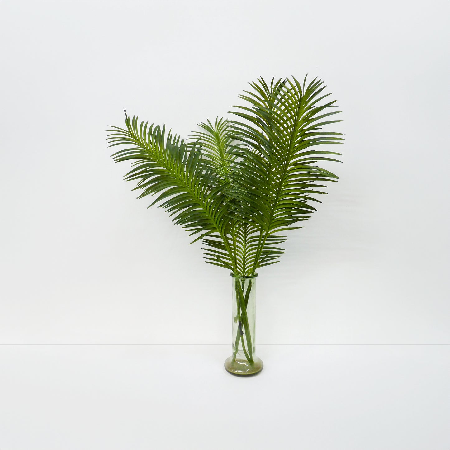 Cycas Palm Leaf