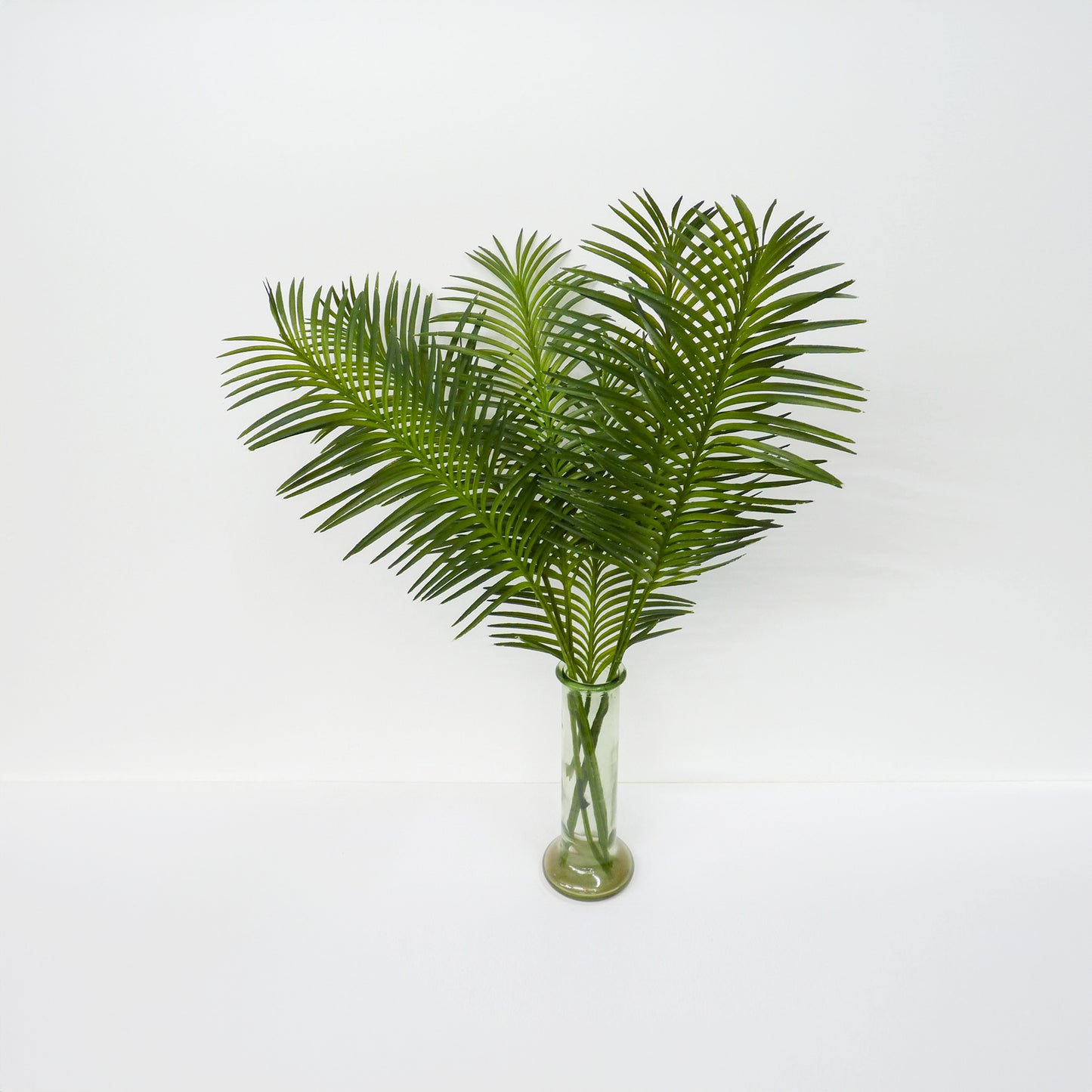 Cycas Palm Leaf