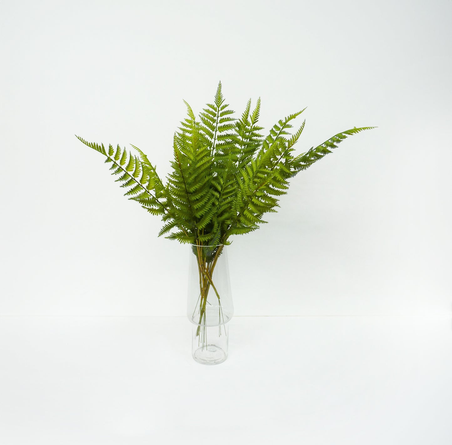 Fern Leaf