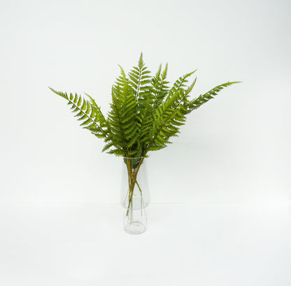 Fern Leaf