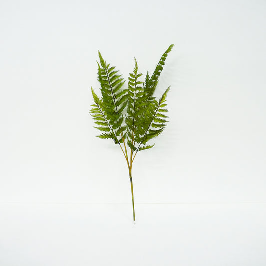 Fern Leaf