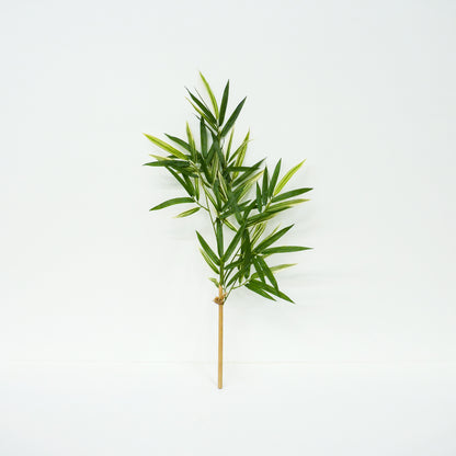 Bamboo Stems