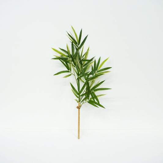 Bamboo Stems
