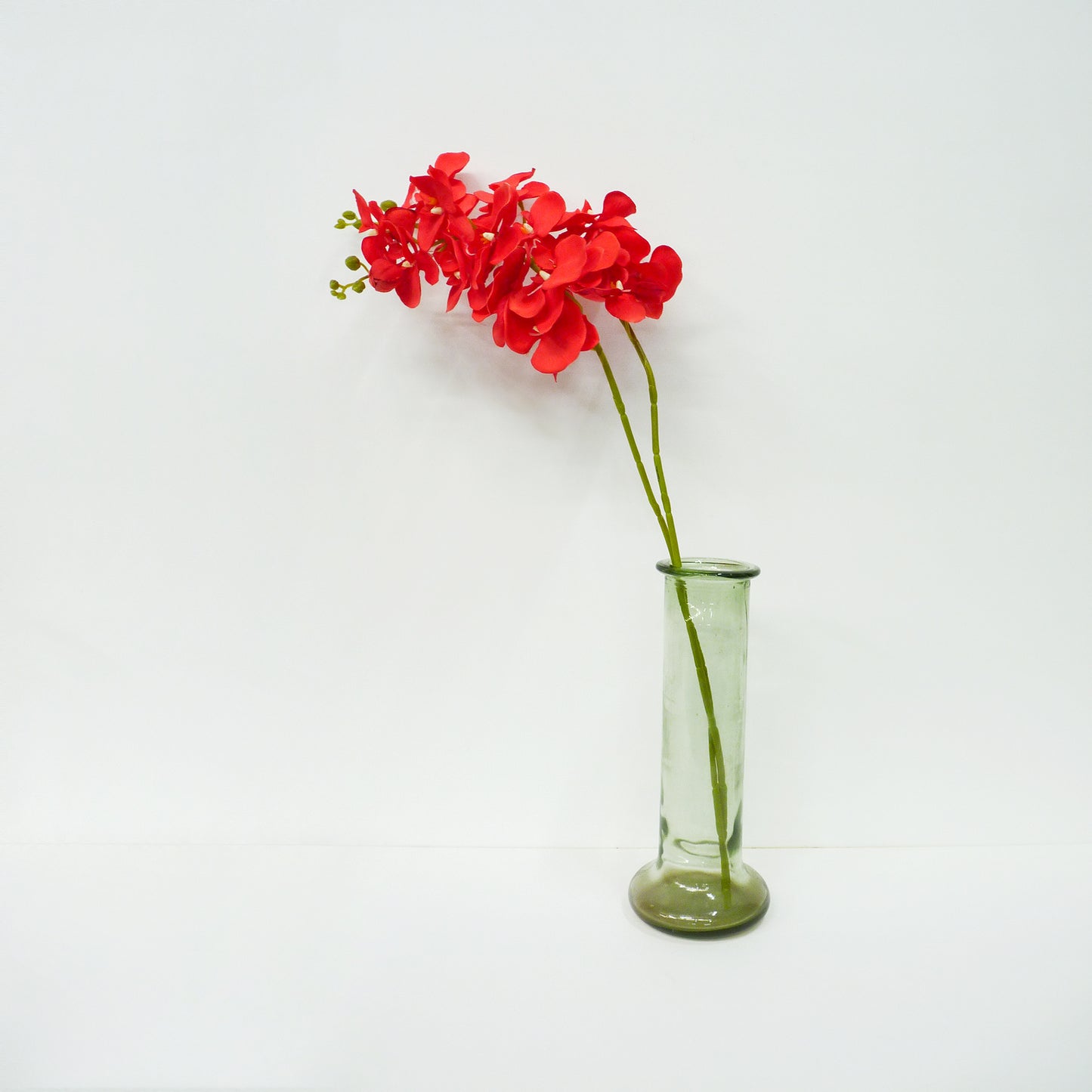 Red Orchids