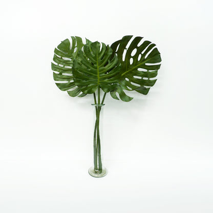 Large Monstera Leaves