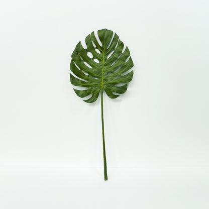 Large Monstera Leaves