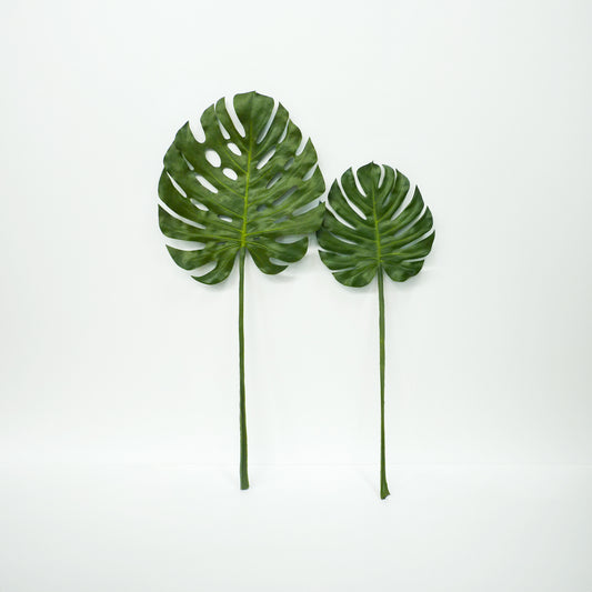 Large Monstera Leaves