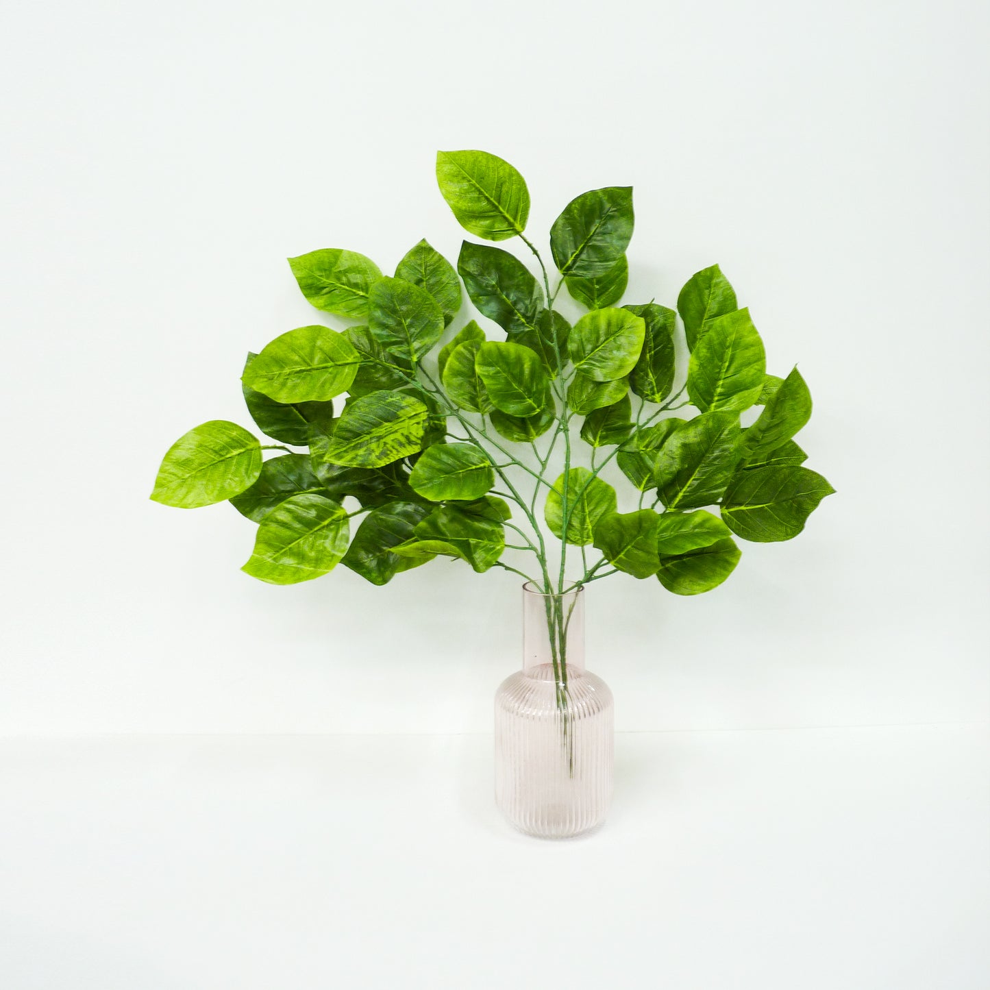 Green Leaf Stems