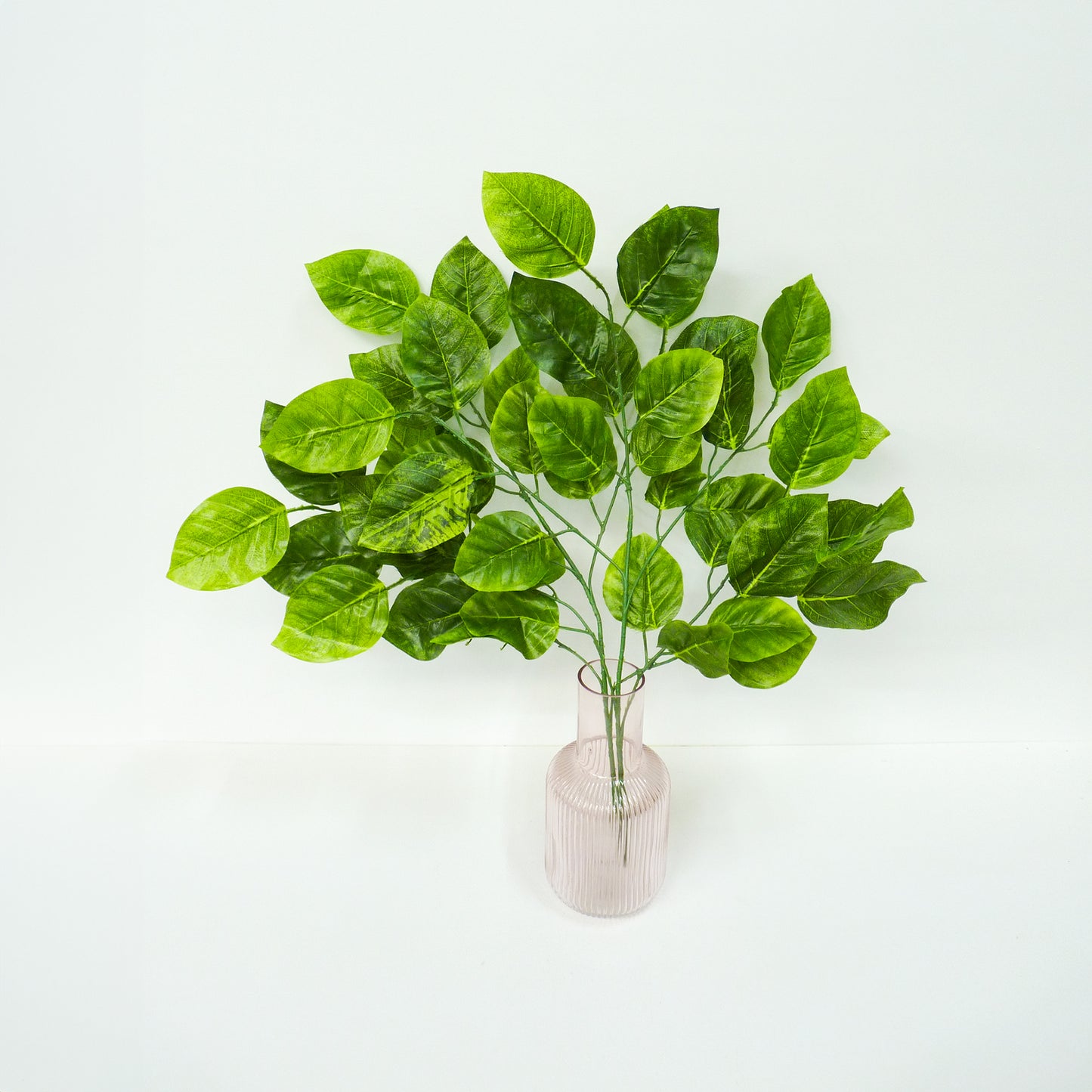 Green Leaf Stems