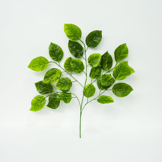 Green Leaf Stems