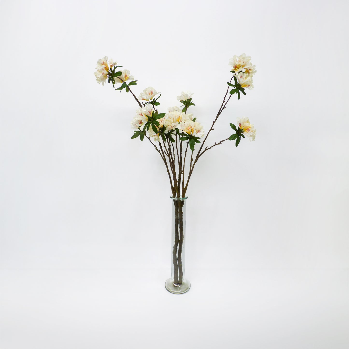 XL Rhododendron Branch