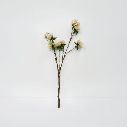 XL Rhododendron Branch
