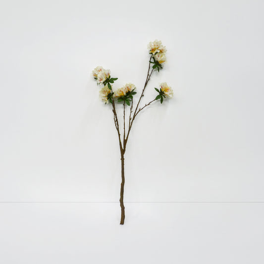 XL Rhododendron Branch