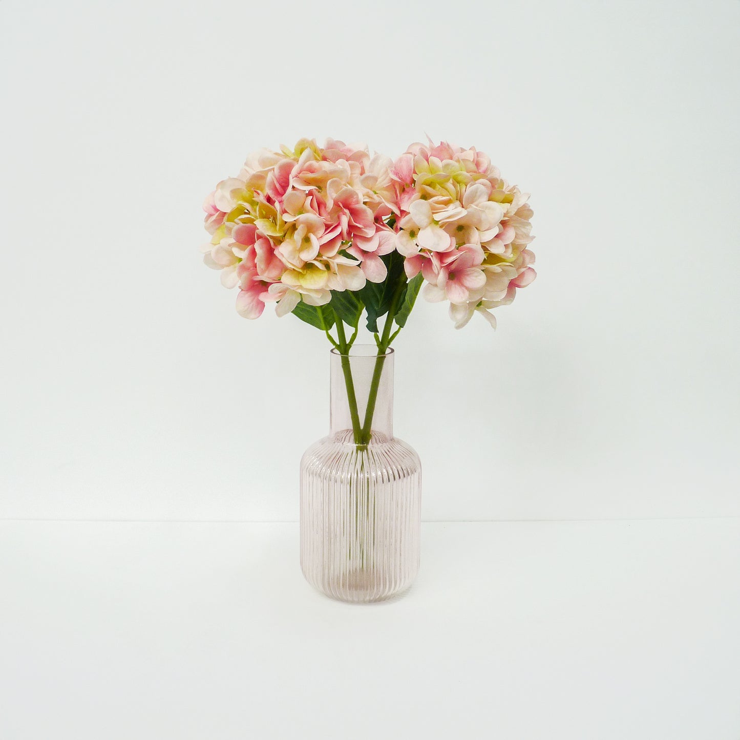 Pink Hydrangea